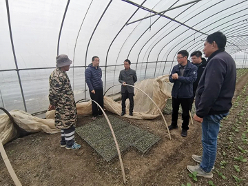 科技賦能百業(yè)，智慧農(nóng)業(yè)守護(hù)常熟種質(zhì)未來
